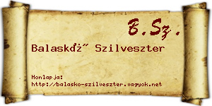 Balaskó Szilveszter névjegykártya